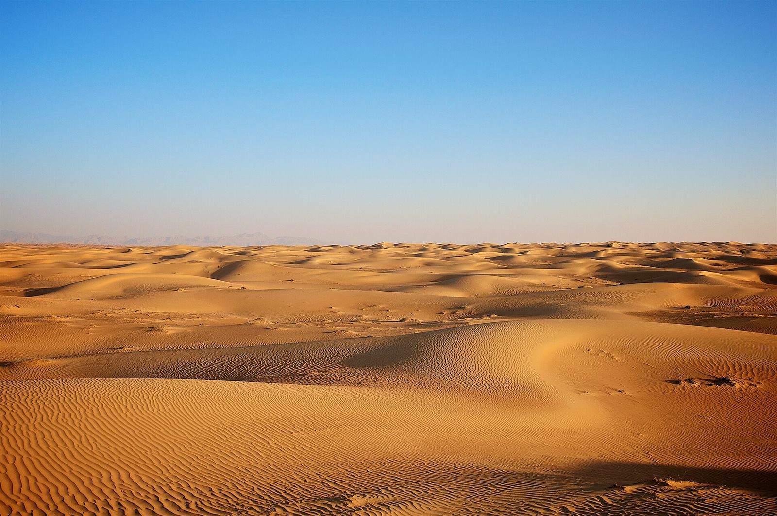 Golden sand dunes in the Dubai desert
